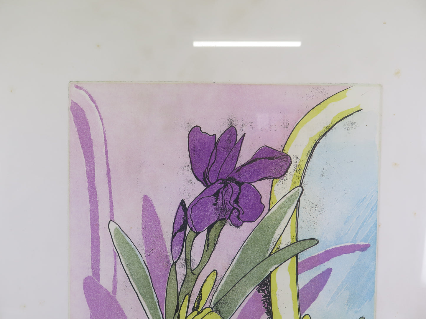 Fernando Farulli (1923-1997) original signed and numbered lithograph with floral subject VAS