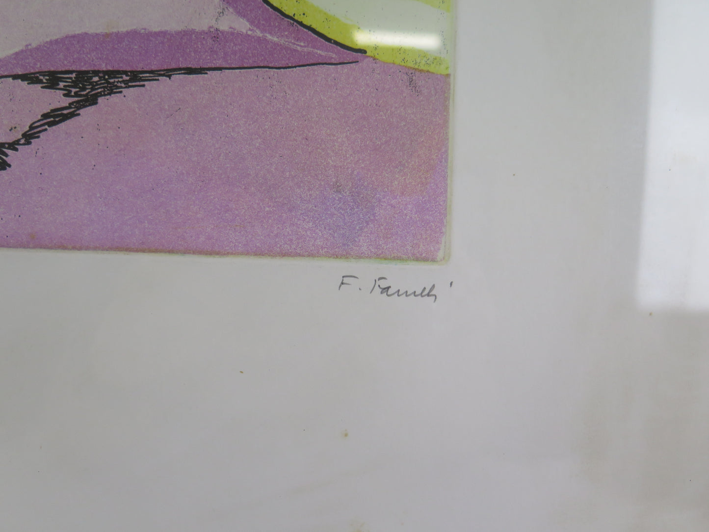 Fernando Farulli (1923-1997) original signed and numbered lithograph with floral subject VAS