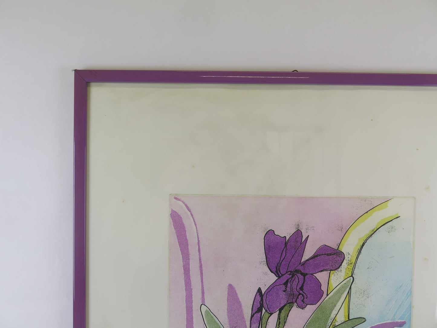 Fernando Farulli (1923-1997) original signed and numbered lithograph with floral subject VAS