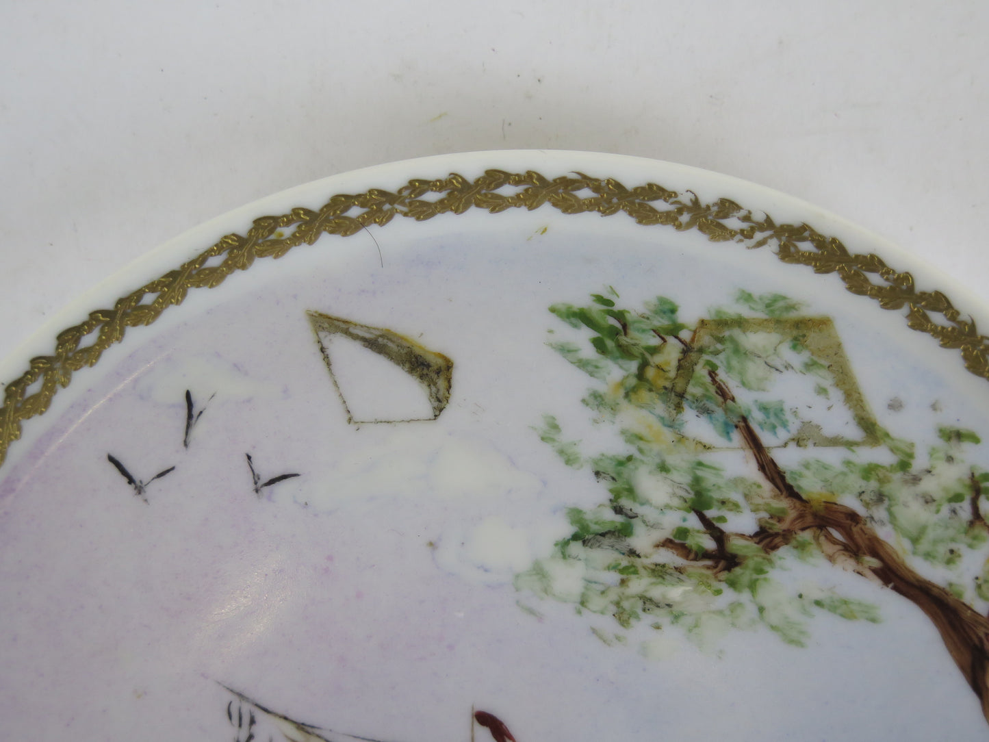 Antique Sevres porcelain plate with hand painted mark VS26
