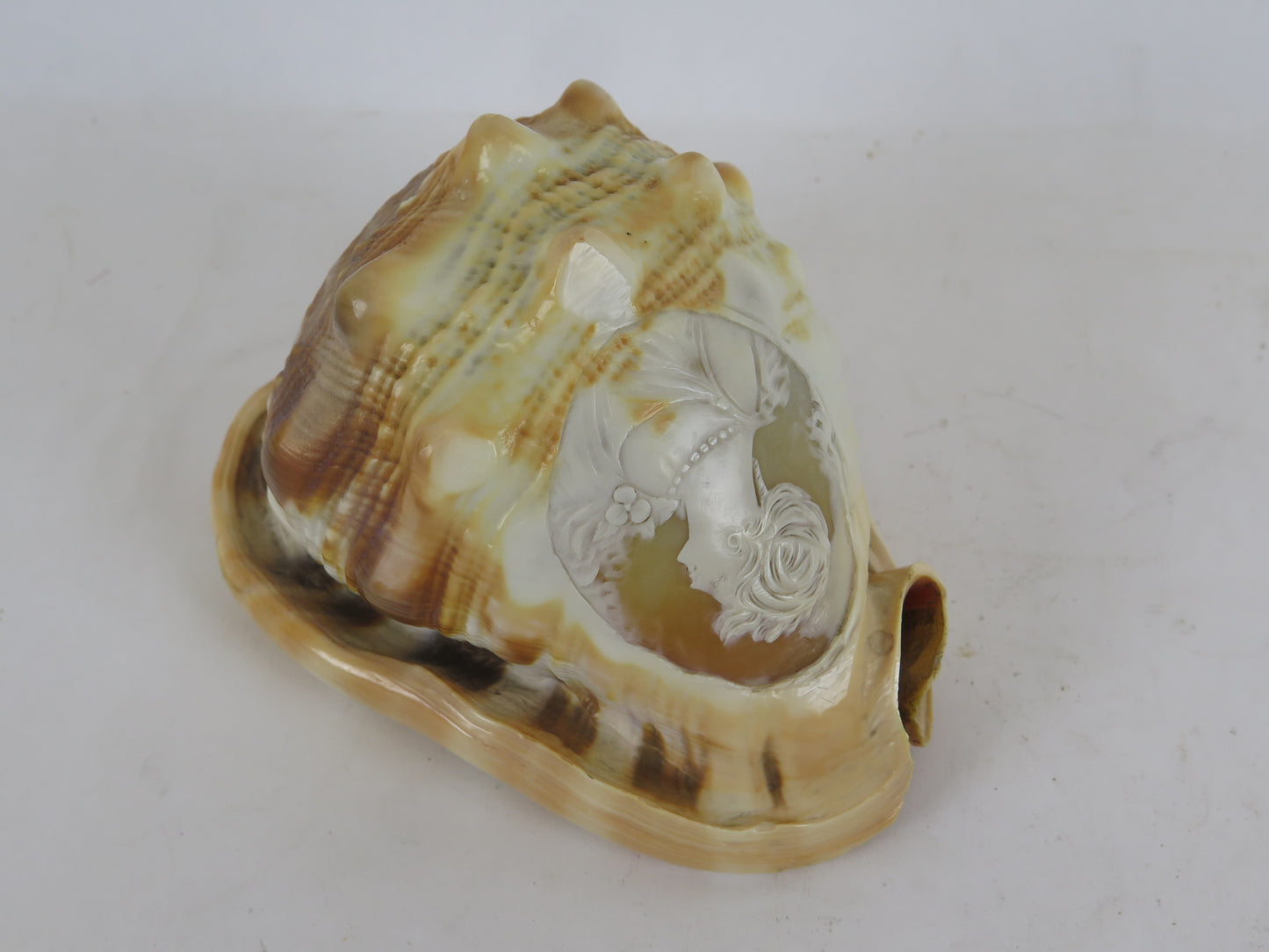 Ancient carved shell cameo Italy early 20th century vs14