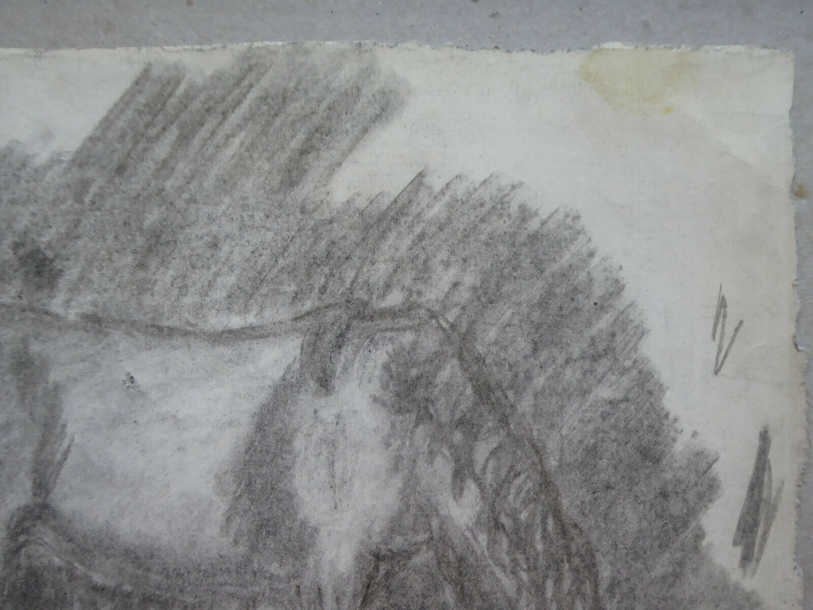 VECCHIO DISEGNO CON CAVALLO EQUESTRE BOZZETTO SCHIZZO SPAGNA VINTAGE QUADRO MD10 - Belbello Antiques