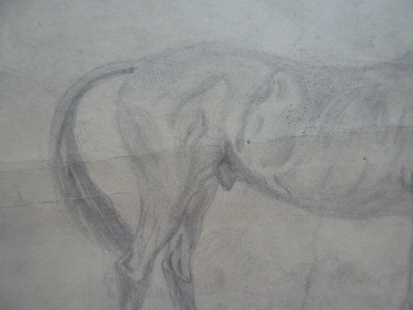 VECCHIO DISEGNO CON CAVALLI EQUESTRE FIRMATO TAJADA SPAGNA VINTAGE QUADRO MD10 - Belbello Antiques