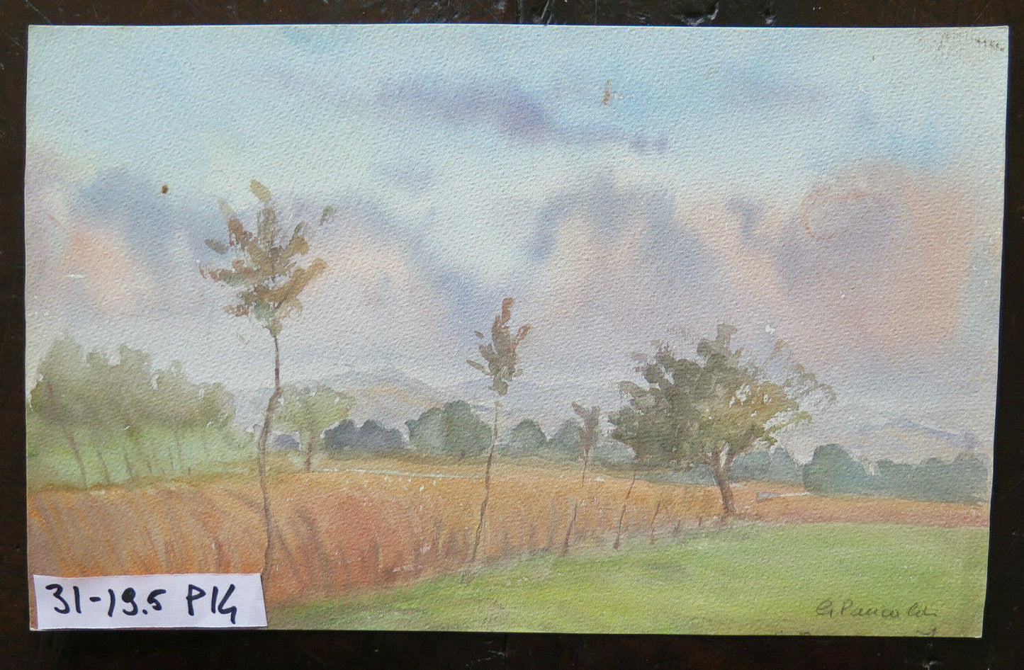 OLD WATERCOLOR PAINTING LANDSCAPE SIGNED EMILIA ROMAGNA VINTAGE 31x19 cm P14