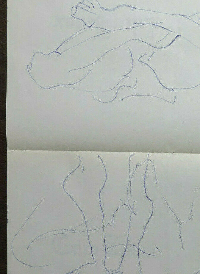 TWO OLD DRAWINGS ON PAPER STUDY SKETCH FOR HUMAN BODY ANATOMY P28.8