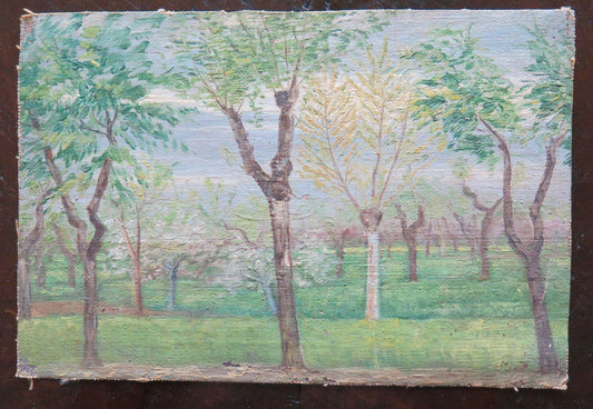 35x23 cm QUADRO DIPINTO AD OLIO SU TELA VINTAGE ANNI 40 PAESAGGIO BOSCHI P16 - Belbello Antiques