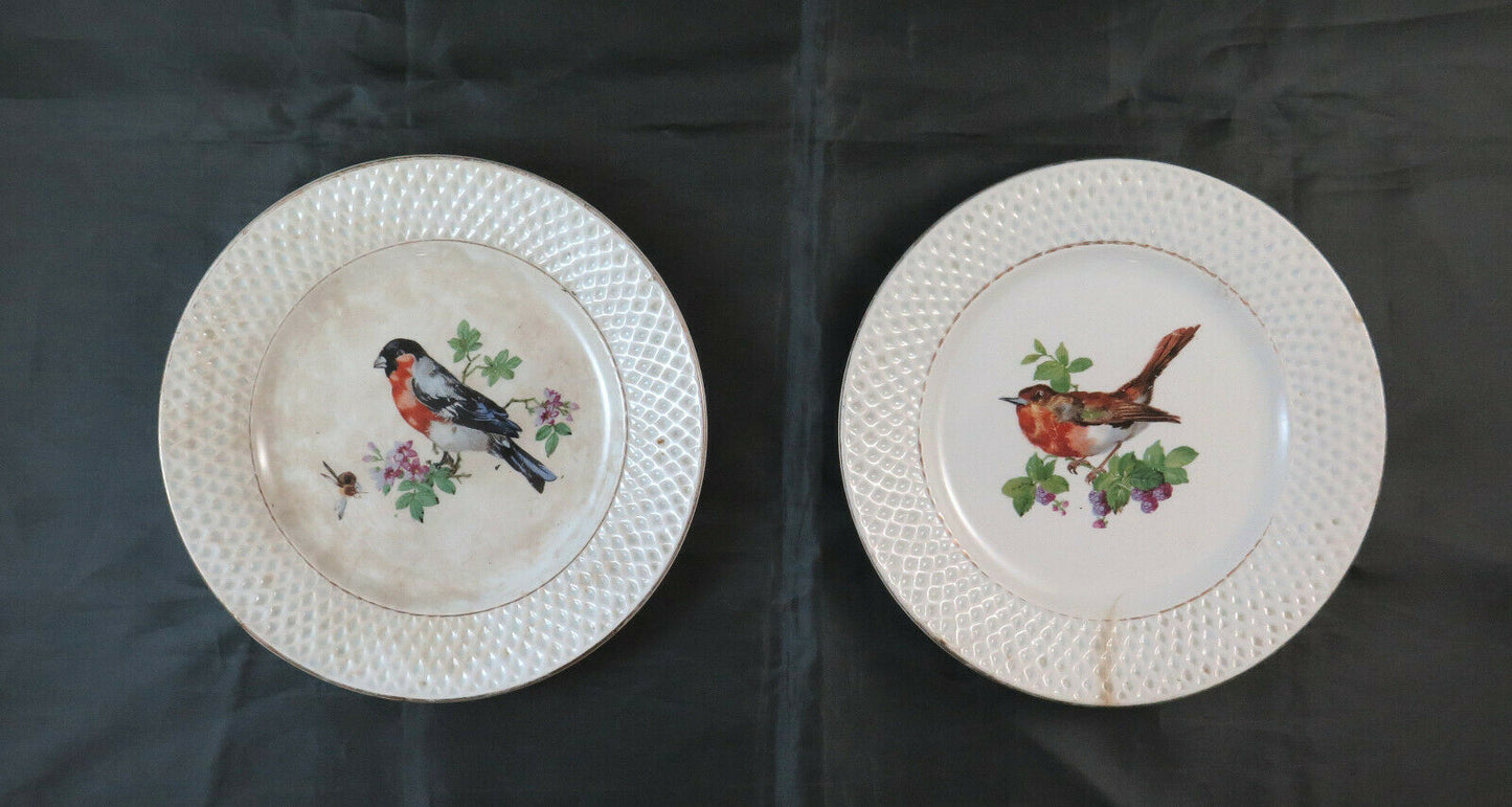 PAIR OF CERAMIC PLATES FROM SARREGUEMINES FAÏENCE FRANCE ANTIQUE PLATE BM25