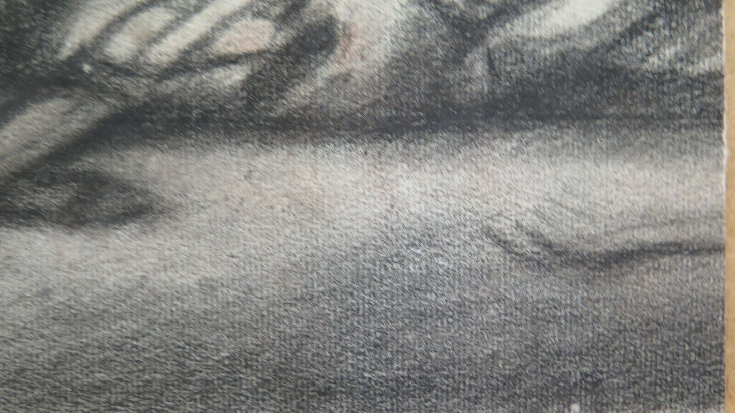 FRAGMENT OF AN ANCIENT DRAWING WORK BY FRENCH PAINTER Pierre Duteurtre DUT BM53.1