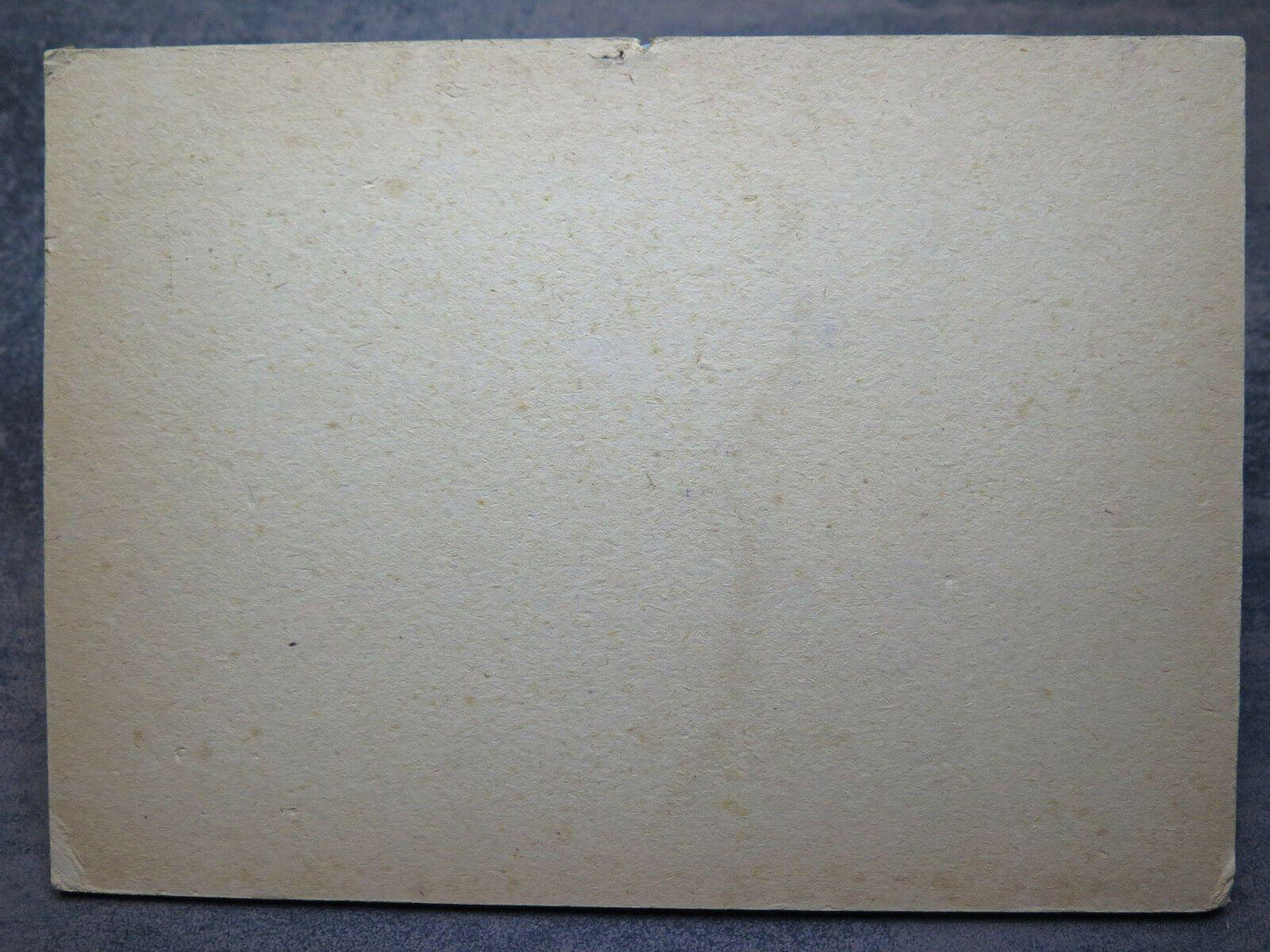 24x17,5 cm PICCOLO DIPINTO AD OLIO VINTAGE VEDUTA VECCHIO BORGO DI CAMPAGNA P1 - Belbello Antiques