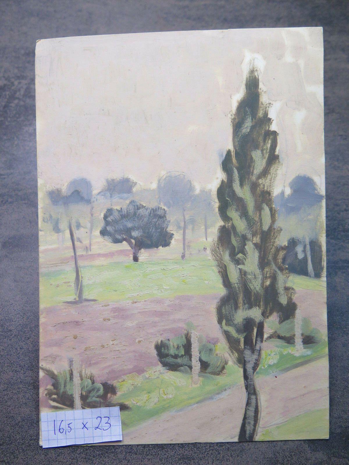 PICCOLO DIPINTO ANTICO OLIO SU TAVOLA QUADRO PAESAGGIO CON ALBERI ORIGINALE p1 - Belbello Antiques