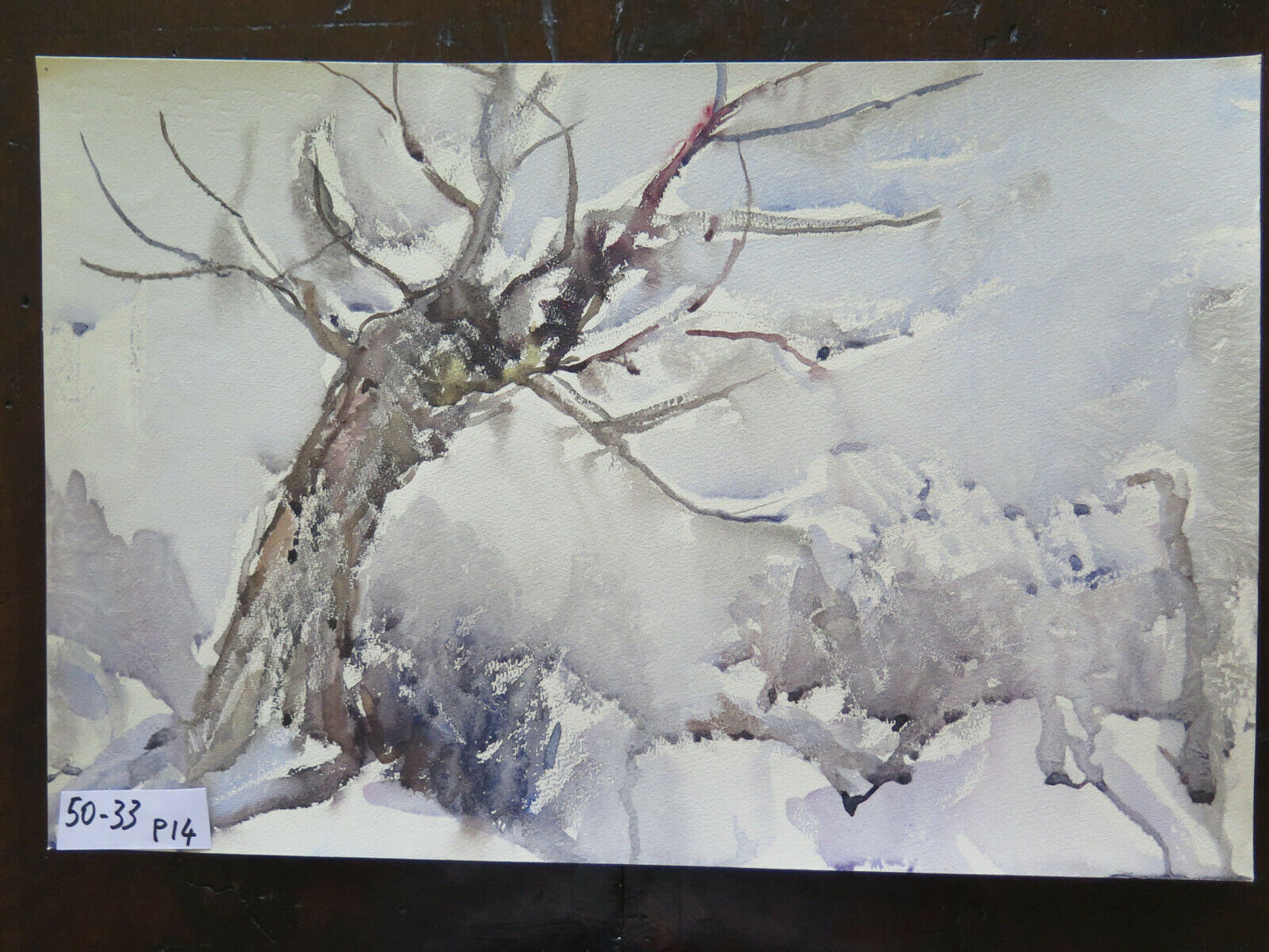 50x33 cm QUADRO PAESAGGIO INVERNALE INNEVATO ONIRICO DIPINTO TECNICA GELO P14