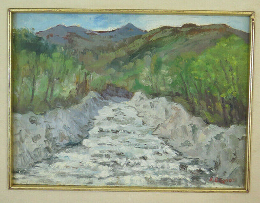 QUADRO ANTICO PAESAGGIO VALLE DI SUSA DIPINTO OLIO FIRMATO DELFINO GAGNOR BM38