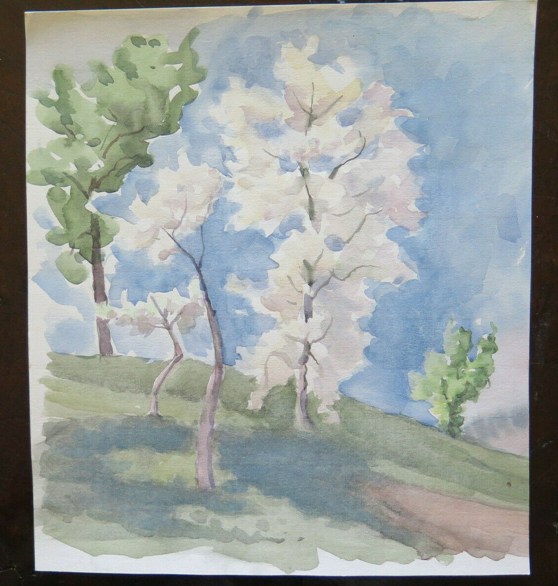 DIPINTO AD ACQUERELLO SU CARTA PAESAGGIO IN PRIMAVERA CON ALBERI IN FIORE P14