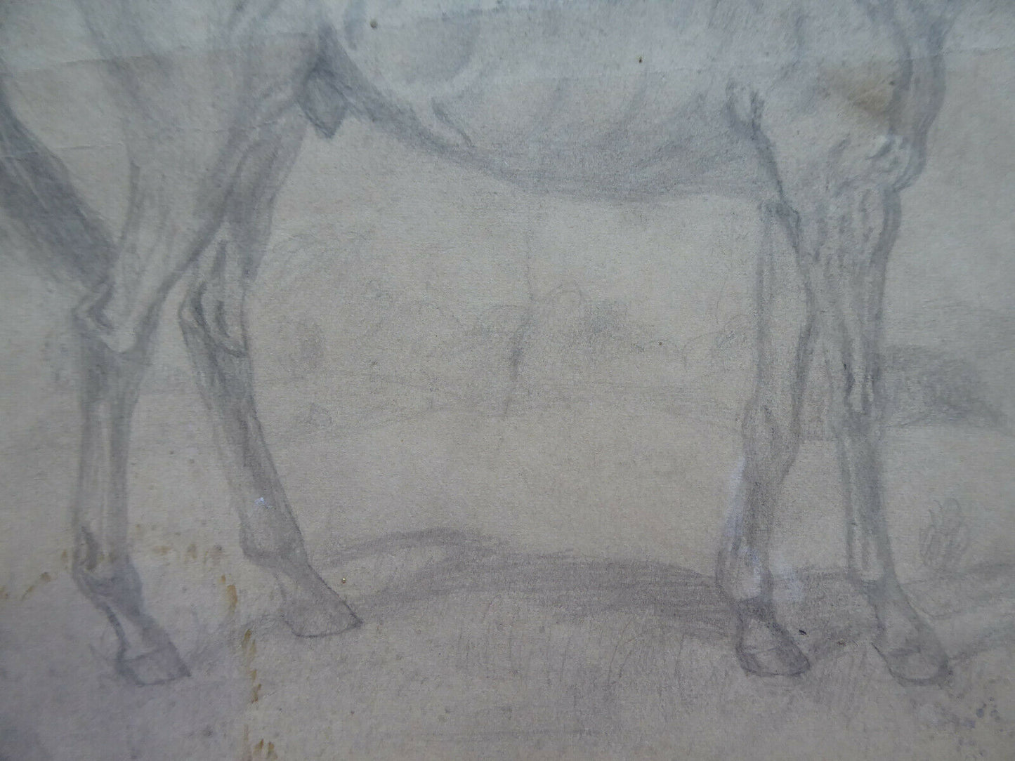 VECCHIO DISEGNO CON CAVALLI EQUESTRE FIRMATO TAJADA SPAGNA VINTAGE QUADRO MD10 - Belbello Antiques