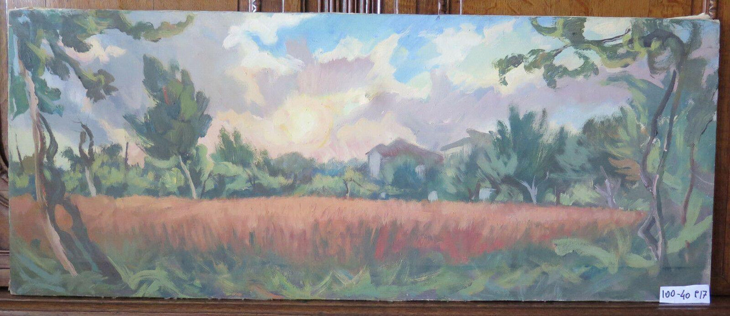 CAMPO DI GRANO IN ESTATE QUADRO ANTICO DIPINTO AD OLIO SU TELA EMILA ROMAGNA p17 - Belbello Antiques