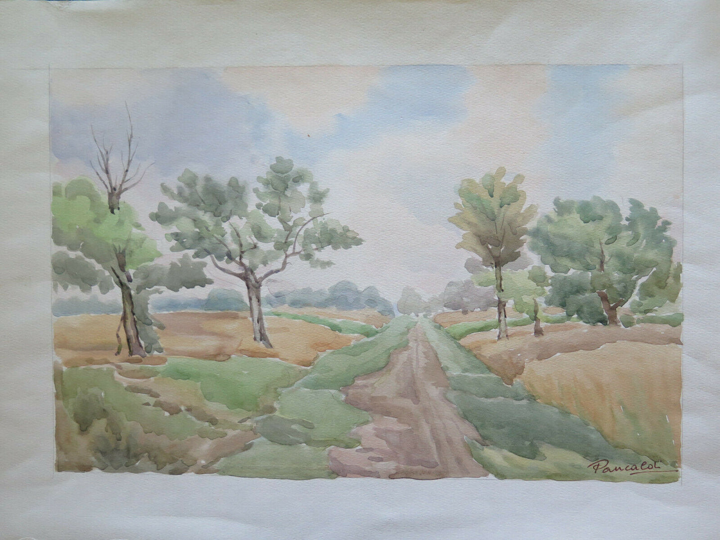 PAINTING SUMMER LANDSCAPE EMILIA ROMAGNA SIGNED PANCALDI PAINTER OF MODENA P14