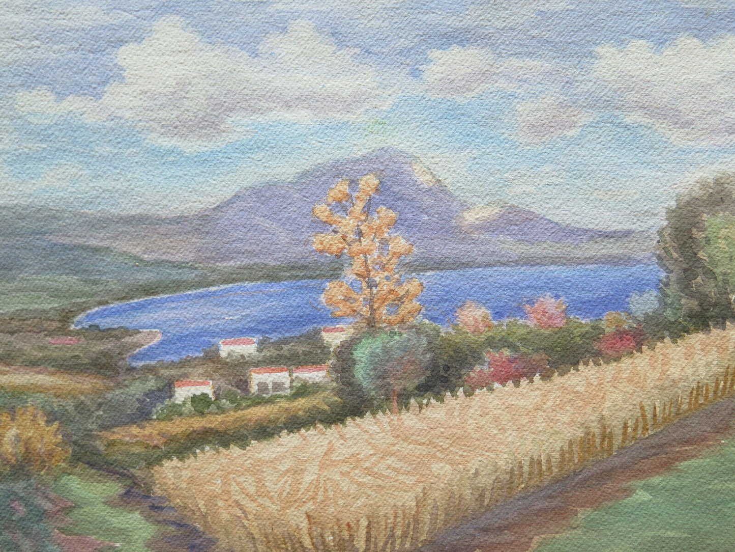 QUADRO VINTAGE DIPINTO ACQUERELLO PAESAGGIO CAMPAGNA EMILIA ROMAGNA 40x28 cm P14