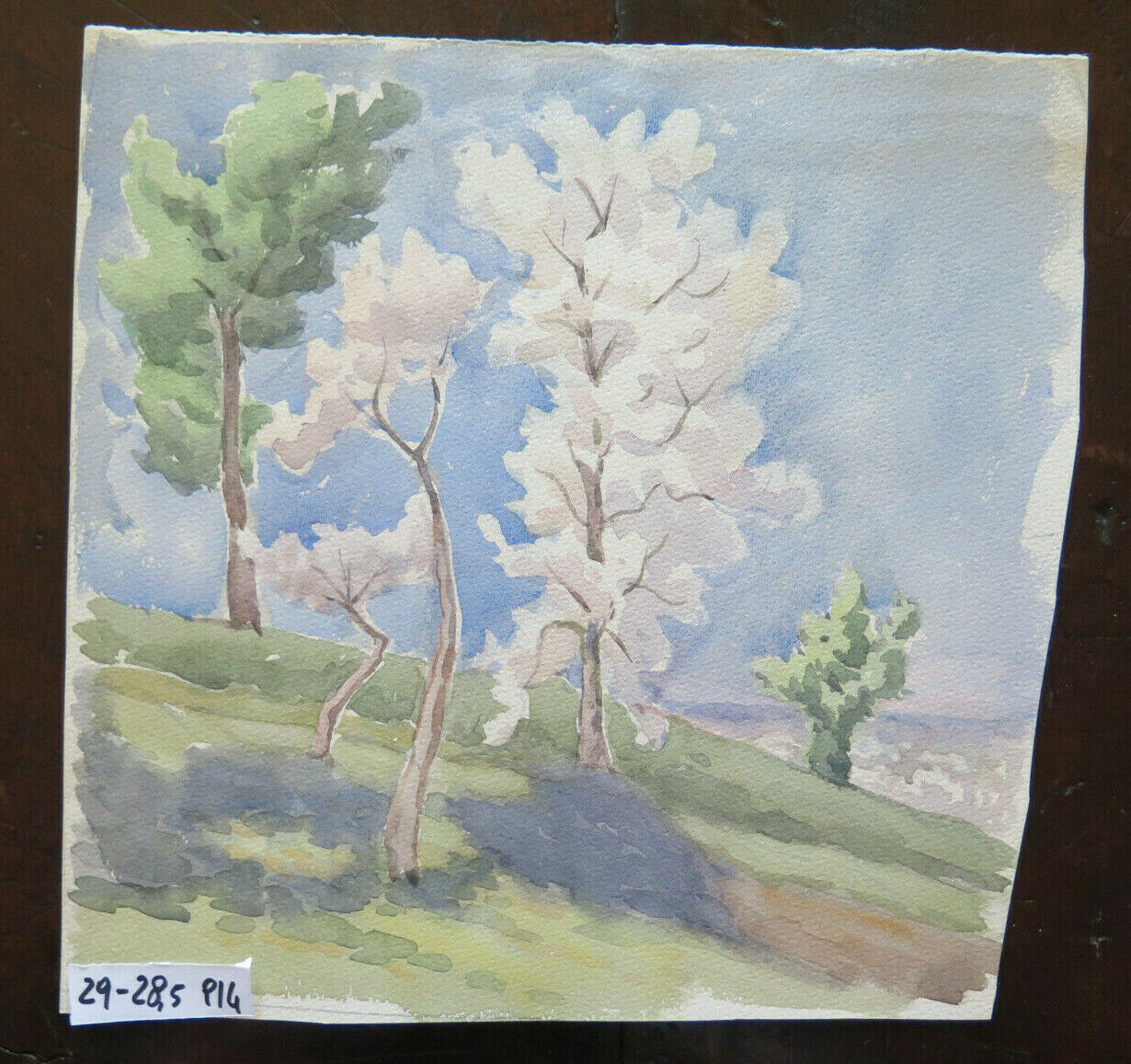 DIPINTO AD ACQUERELLO SU CARTA PAESAGGIO IN PRIMAVERA CON ALBERI IN FIORE P14