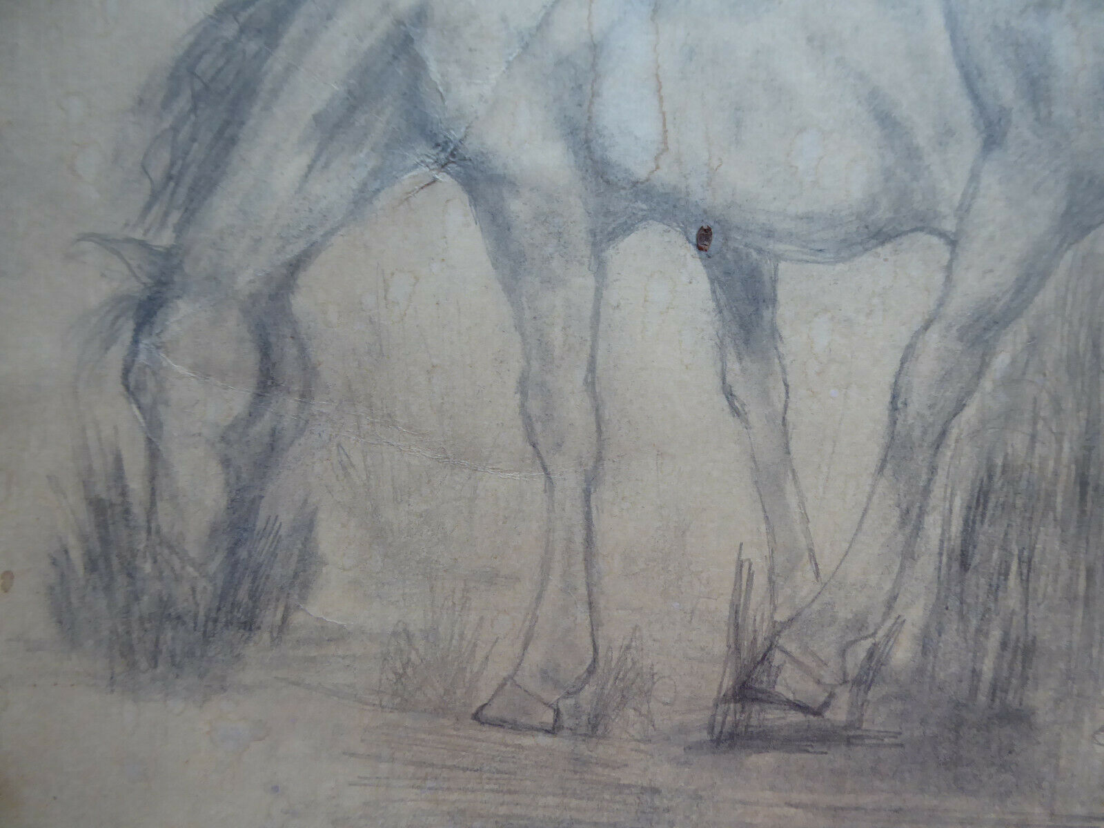 VECCHIO DISEGNO CON CAVALLI EQUESTRE FIRMATO TAJADA SPAGNA '900 QUADRO MD10 - Belbello Antiques