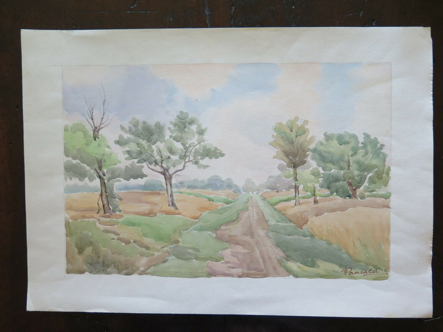 PAINTING SUMMER LANDSCAPE EMILIA ROMAGNA SIGNED PANCALDI PAINTER OF MODENA P14