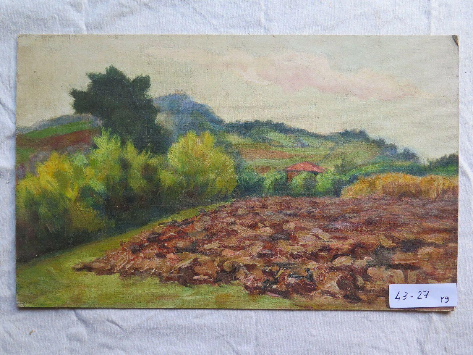 PAESAGGIO DI CAMPAGNA CON CAMPI COLTIVATI QUADRO AD OLIO SU TAVOLA 43x27 cm p9 - Belbello Antiques