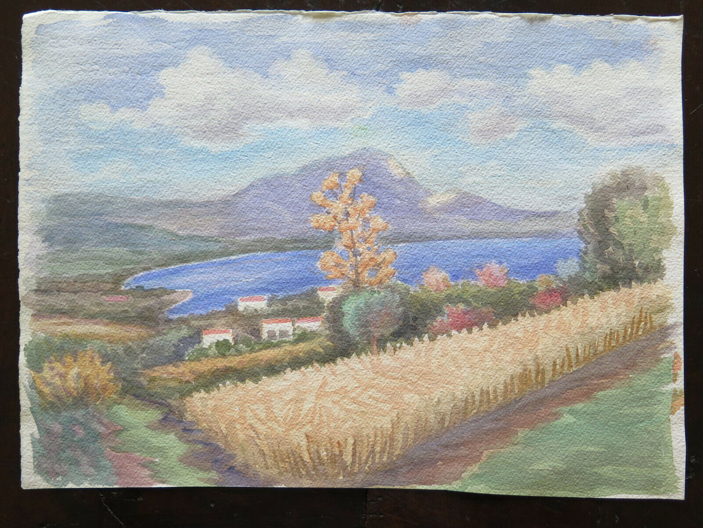 QUADRO VINTAGE DIPINTO ACQUERELLO PAESAGGIO CAMPAGNA EMILIA ROMAGNA 40x28 cm P14