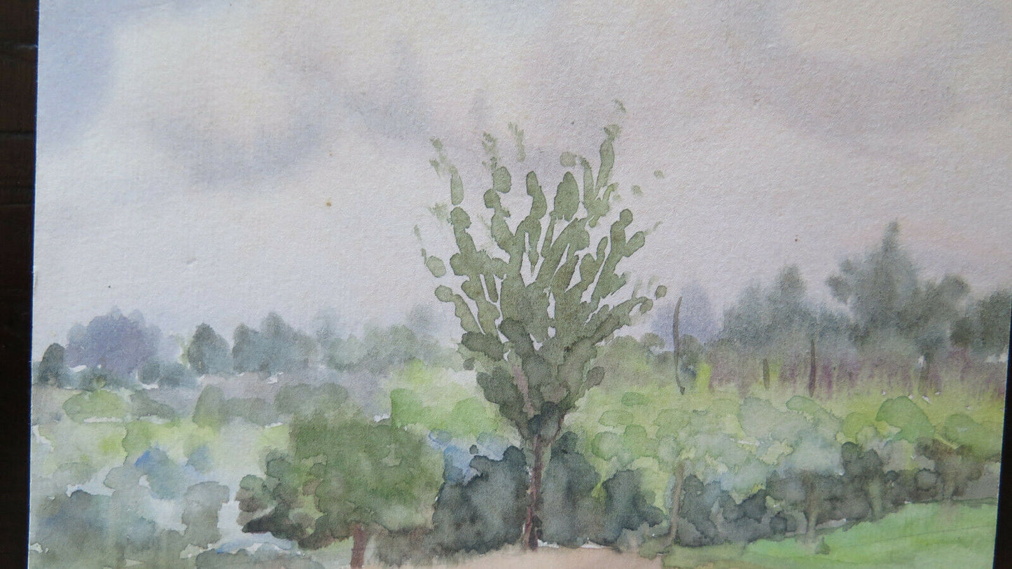 OLD WATERCOLOR ON PAPER SKETCH SKETCH COUNTRY LANDSCAPE VINEYARDS P28.4