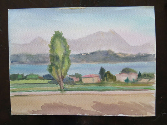 VECCHIO DIPINTO QUADRO PAESAGGIO CAMPAGNA ACQUERELLO SU CARTA 38x29 cm P14