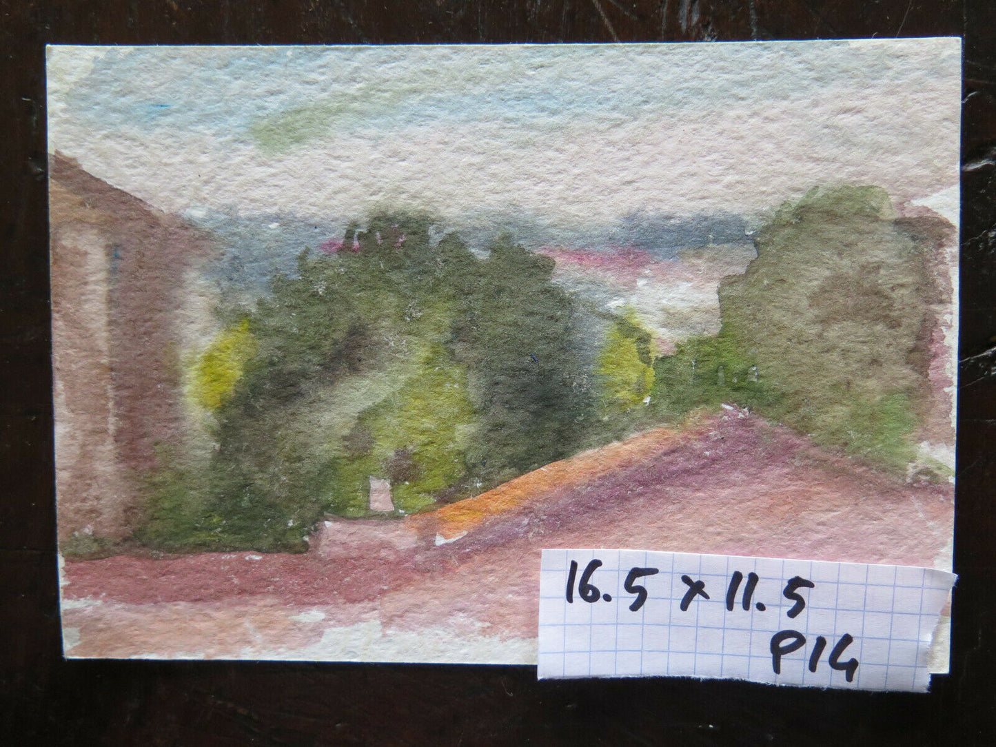 PAINTING WATERCOLOR SKETCH ON PAPER VIEW FROM THE ROOFS OF PIUMAZZO FRAMEWORK P14