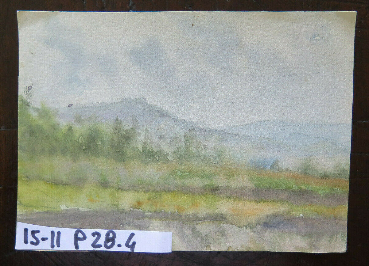 PICCOLO DIPINTO AD ACQUERELLO QUADRO STUDIO BOZZETTO SCHIZZO PAESAGGIO P28.4