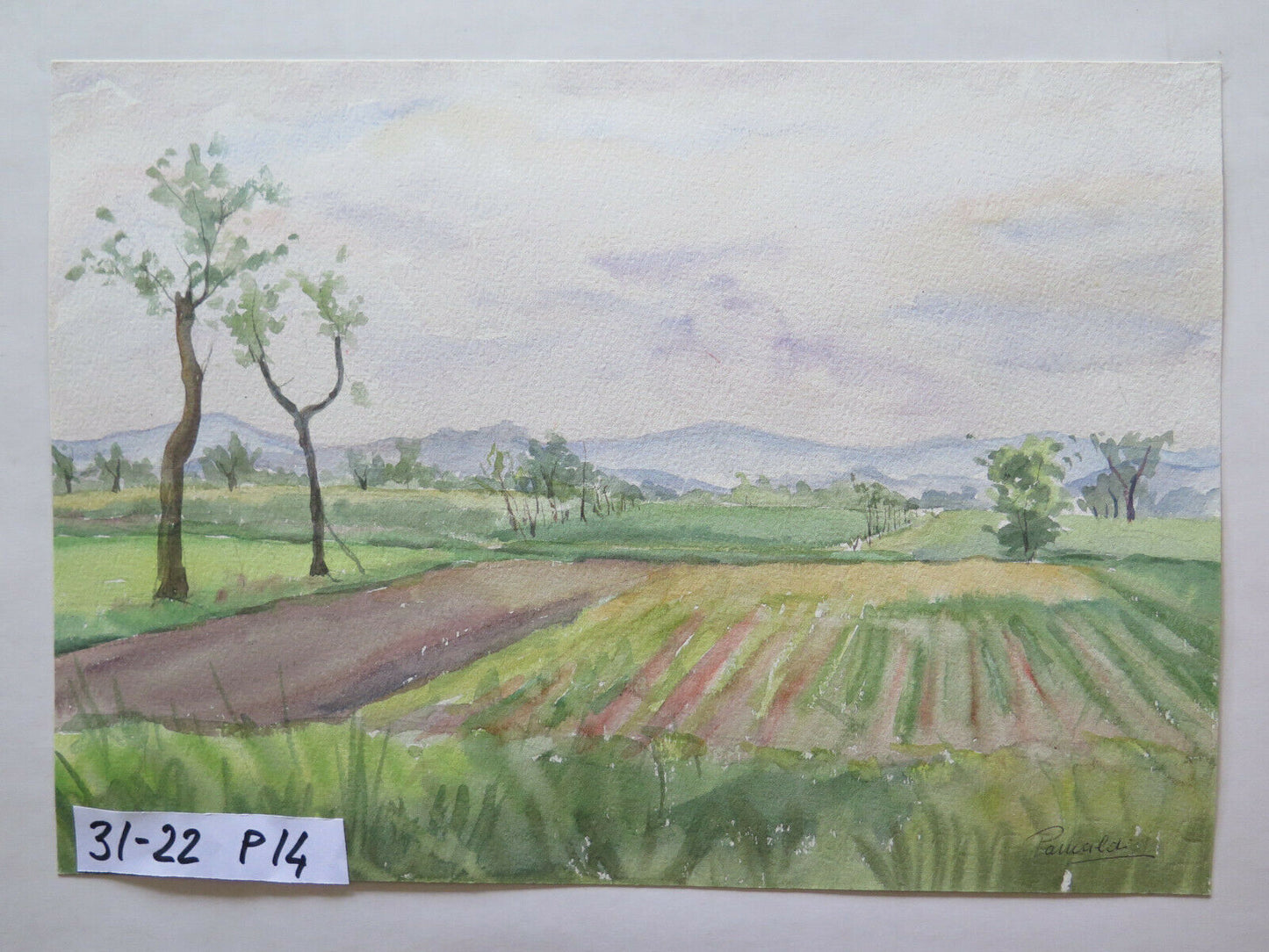 PAINTING WATERCOLOR LANDSCAPE SIGNED EMILIA ROMAGNA VINTAGE 31x22 cm P14