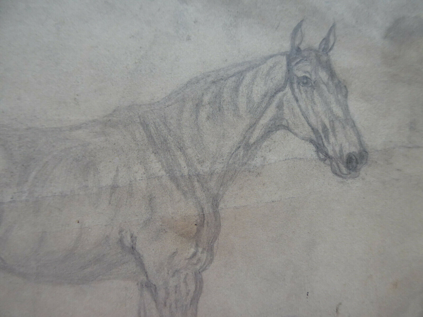 VECCHIO DISEGNO CON CAVALLI EQUESTRE FIRMATO TAJADA SPAGNA VINTAGE QUADRO MD10 - Belbello Antiques