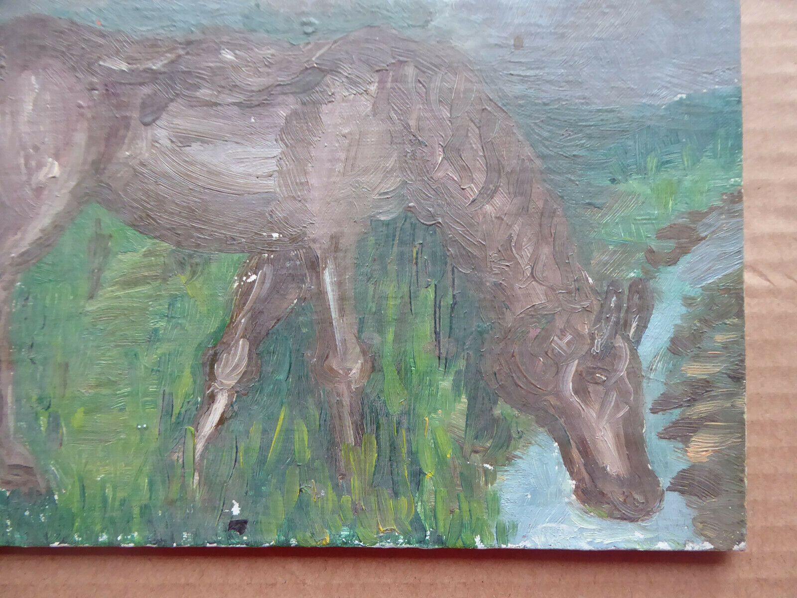 24x19cm QUADRO ANTICO PICCOLA MISURA CON CAVALLO SPAGNA PRIMA METÀ DEL 900 MD10 - Belbello Antiques