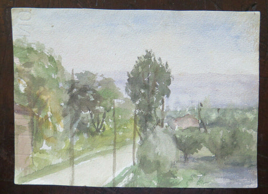 SMALL WATERCOLOR PAINTING PAINTING STUDY SKETCH SKETCH VIEW OF THE WOODS P28.4 