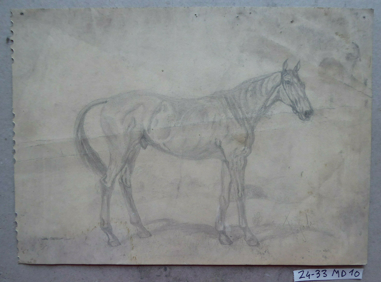 VECCHIO DISEGNO CON CAVALLI EQUESTRE FIRMATO TAJADA SPAGNA VINTAGE QUADRO MD10 - Belbello Antiques