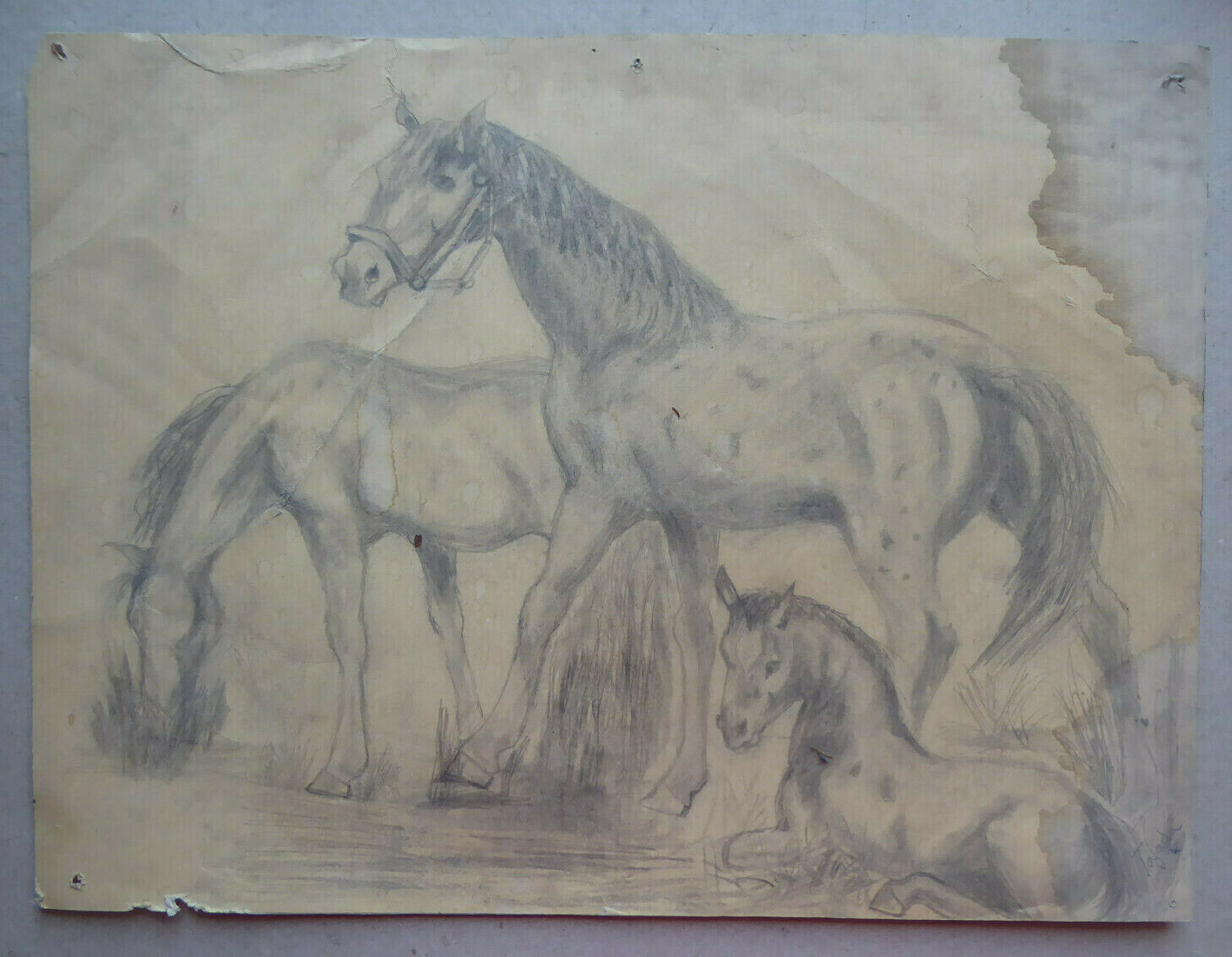 VECCHIO DISEGNO CON CAVALLI EQUESTRE FIRMATO TAJADA SPAGNA '900 QUADRO MD10 - Belbello Antiques