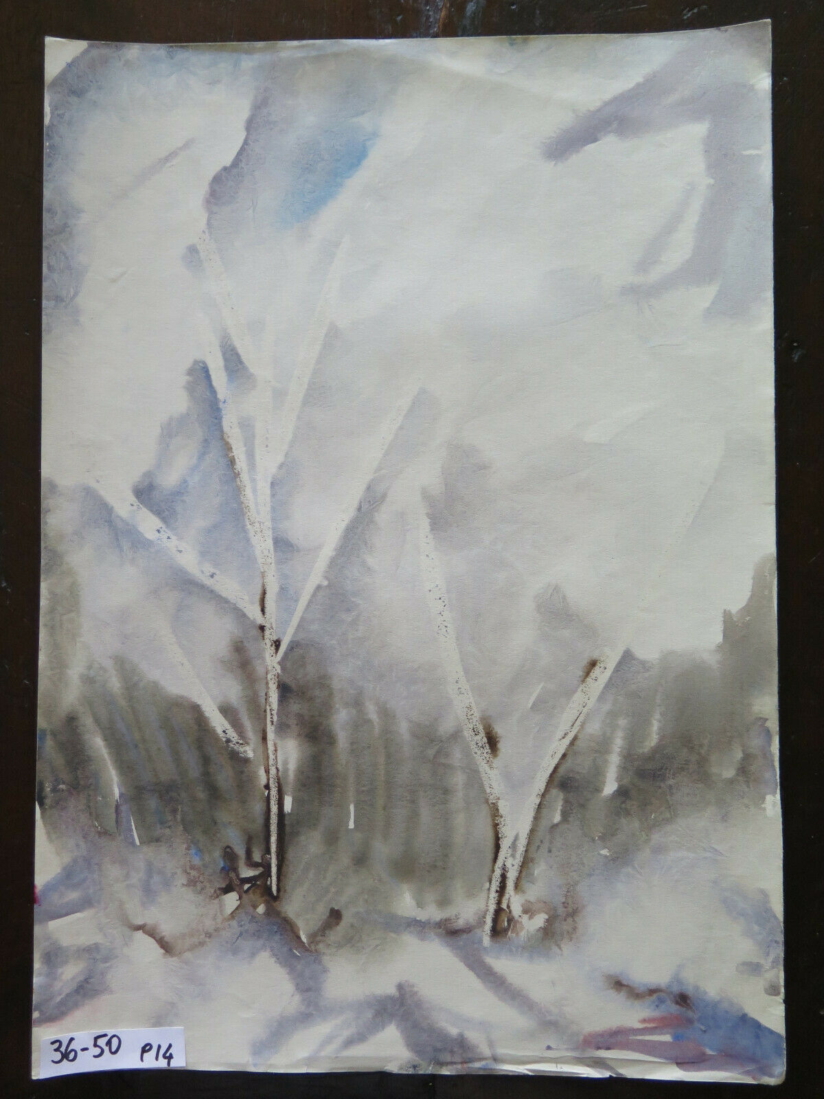 WATERCOLOR PAINTING PAINTED WITH THE FROST TECHNIQUE WINTER LANDSCAPE 36x50 cm P14