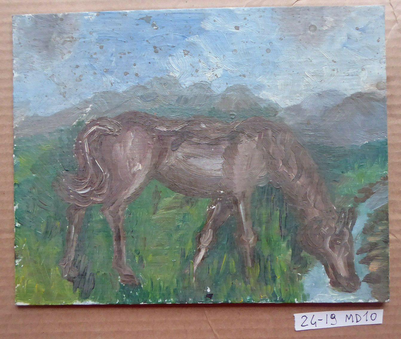 24x19cm QUADRO ANTICO PICCOLA MISURA CON CAVALLO SPAGNA PRIMA METÀ DEL 900 MD10 - Belbello Antiques