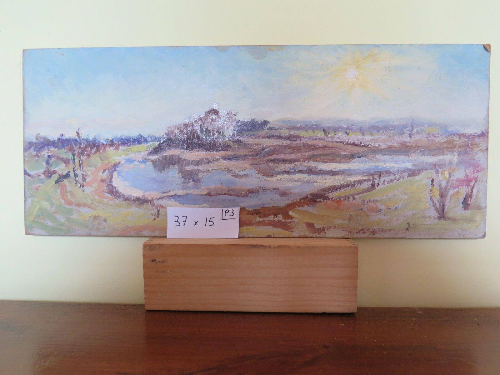 PICCOLO DIPINTO AD OLIO SU TAVOLA PANORAMICO VEDUTA PAESAGGIO IN ESTATE p3 - Belbello Antiques