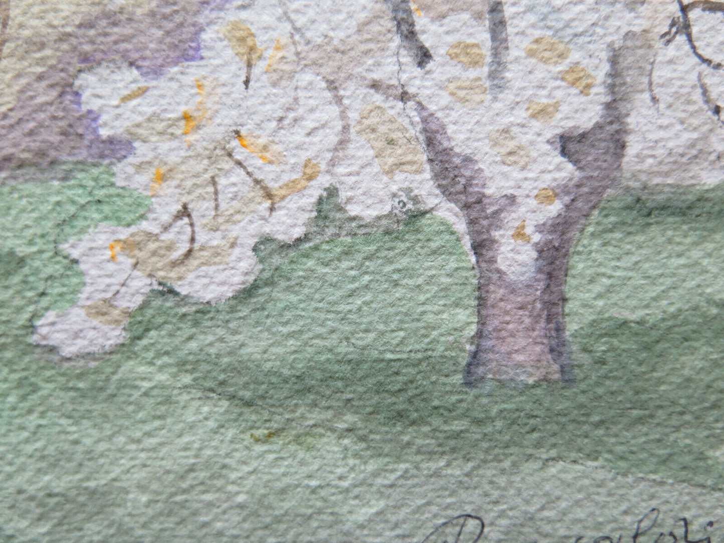 QUADRO VINTAGE DIPINTO ACQUERELLO PAESAGGIO PRIMAVERA FIORI FIRMATO 32x25 cm P14