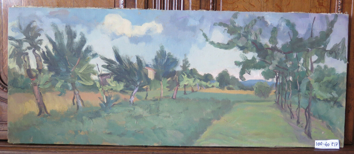 QUADRO ANTICO EPOCA 900 AUTORE PANCALDI PAESAGGIO PAESAGGIO DI CAMPAGNA p17