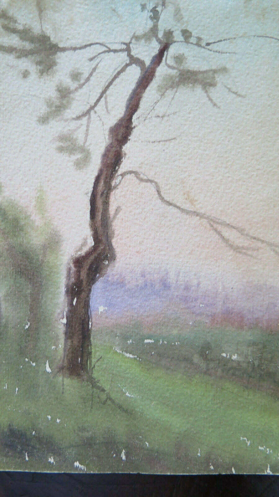 SKETCH PAINTED IN WATERCOLOR COUNTRYSIDE LANDSCAPE AUTHOR G. PANCALDI 1948 P28.4