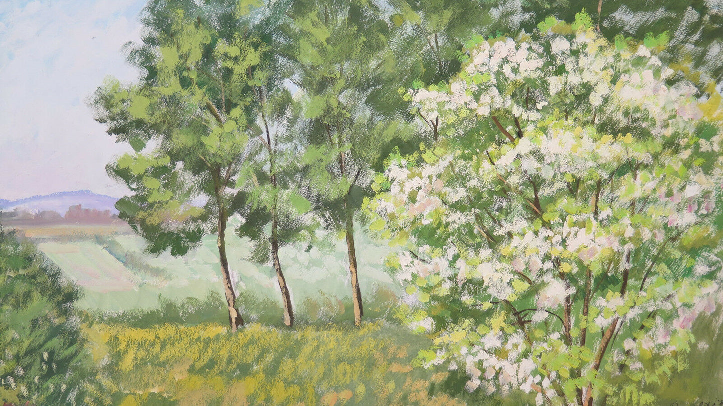 ANTIQUE OIL PAINTING ON PANEL COUNTRY LANDSCAPE TREES IN FLOWERING P31