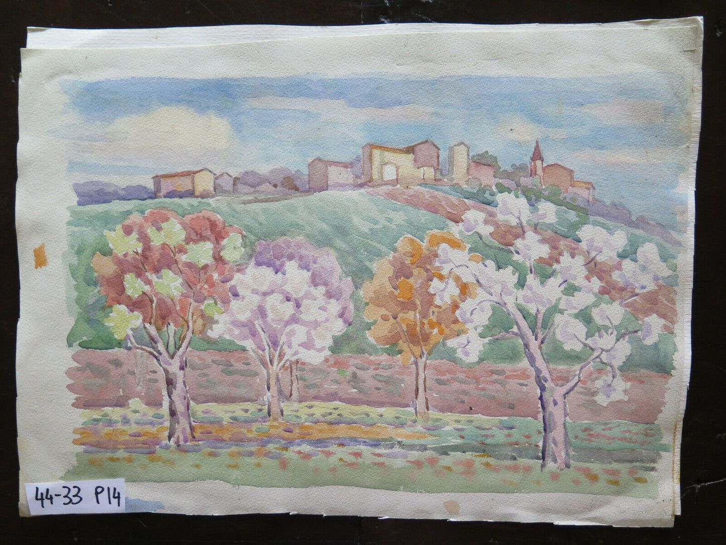 VIEW OF A VILLAGE EMILIA ROMAGNA OLD PAINTING BY LOCAL PAINTER 44x33 cm P14