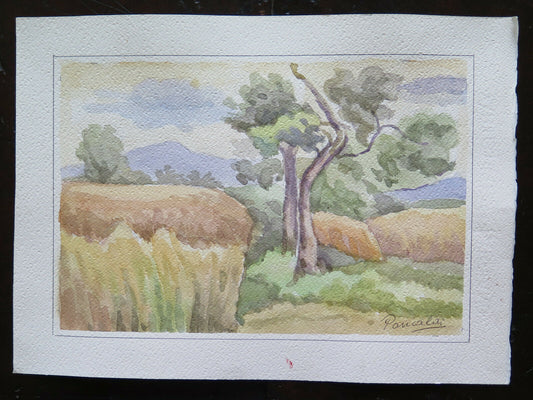 QUADRO VINTAGE DIPINTO ACQUERELLO PAESAGGIO CAMPAGNA FIRMATO 31x21 cm P14