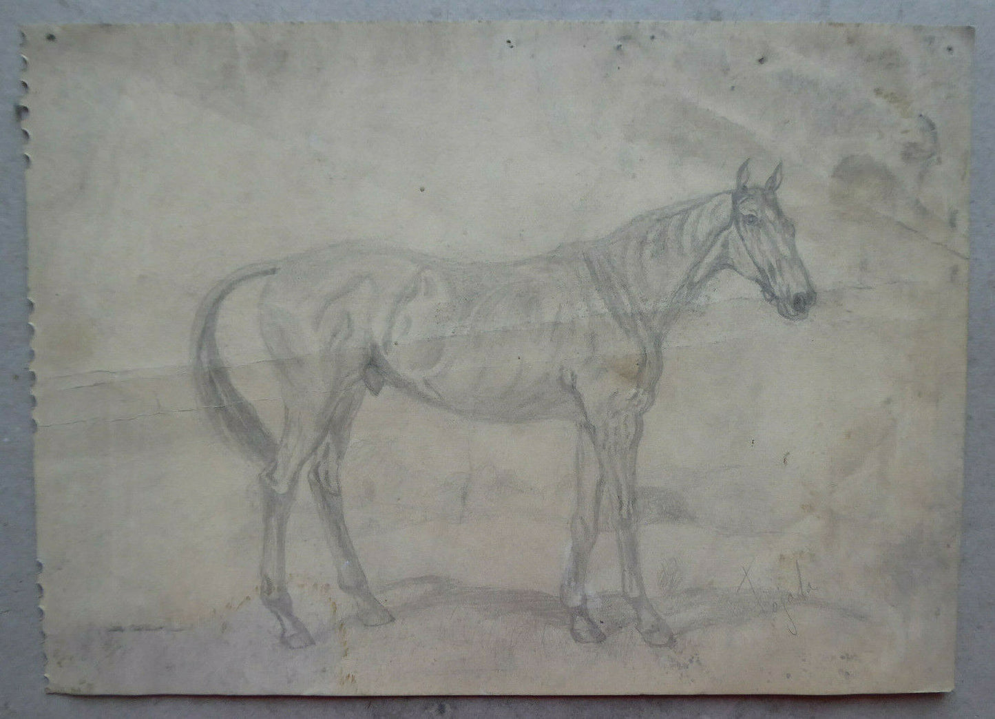 VECCHIO DISEGNO CON CAVALLI EQUESTRE FIRMATO TAJADA SPAGNA VINTAGE QUADRO MD10 - Belbello Antiques