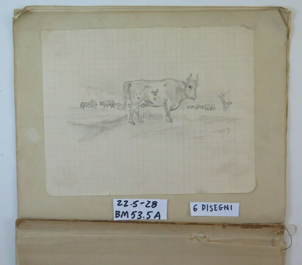 ANTICO ALBUM DA DISEGNO 7 SCHIZZI ANIMALI RITRATTI NATURA INIZIO SECOLO BM53.5A