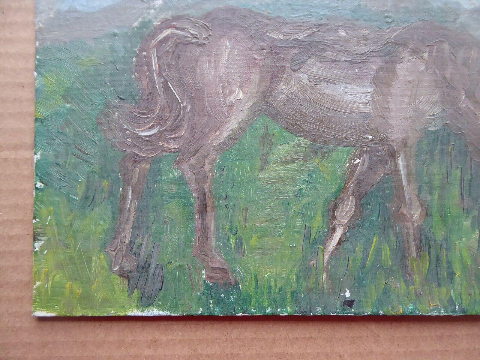 24x19cm QUADRO ANTICO PICCOLA MISURA CON CAVALLO SPAGNA PRIMA METÀ DEL 900 MD10 - Belbello Antiques