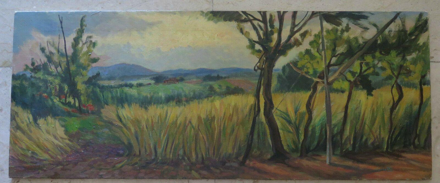 PAESAGGIO DI CAMPAGNA IN ESTATE CON CAMPI COLTIVATI QUADRO ANTICO GARANZIA p7 - Belbello Antiques