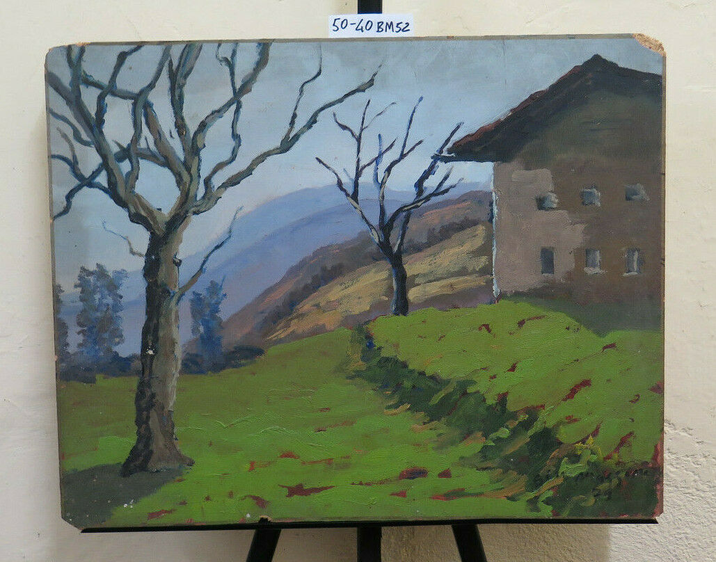 QUADRO AD OLIO SU TAVOLA VINTAGE PAESAGGIO DI CAMPAGNA ALPINO FIRMATO BM52 - Belbello Antiques